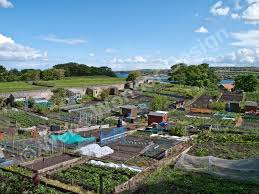 Allotments