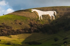 Westbury-White-Horse-6587-2