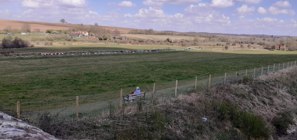 Hungerford Arcade Blog Freeman Marsh May 2020